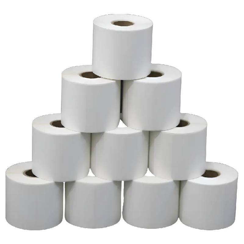 10 Rolos Etiqueta 60x40 Térmica Balança 1